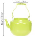 Dekorative Teekanne als Blumenvase Nostalgie-Retro Stil | Floristik24.de