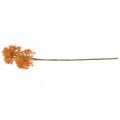 Dekozweig Künstlicher Zweig Herbstdeko 2 Blütenstände Orange 82cm