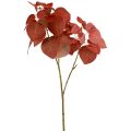Floristik24 Dekozweig Deko Blätter künstlich Talgbaum Rote Blätter 72cm