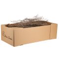 Dekozweige Natur Deko Thymianzweige getrocknet 500g | Floristik24.de