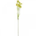 Gelber Dill, Künstliche Kräuterpflanze, Dill zum Dekorieren L80cm