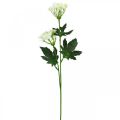Floristik24 Dill blühend, Künstliche Kräuter, Dekopflanze Grün, Weiß 49cm 9St