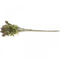 Distel künstlich Lila Dekozweig 10 Blütenköpfe 68cm 3St
