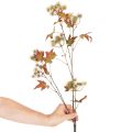 Künstlicher Herbstzweig Amberbaum mit Laub und Fruchtständen 132cm | Floristik24.de