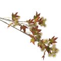 Künstlicher Herbstzweig Amberbaum mit Laub und Fruchtständen 132cm | Floristik24.de