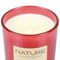 Duftkerze im Glas Naturwachs Kerze Winter Dreams 85×70mm | Floristik24.de