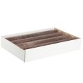 Durchgefärbte Kerzen Stabkerzen Kupfer 50x300mm 4 St | Floristik24.de