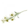 Edelweiß Kunstblume Weiß beflockt 38cm