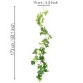 Künstliche Efeu Girlande  für Raumdekoration 173cm | Floristik24.de
