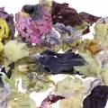 Floristik24 Trockendeko-Bastelset Echter Eibisch Natur 300g Blüten-Potpourri