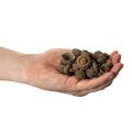 Eichelkappen natur Dekoschalen Herbst und Advent 2cm 300g | Floristik24.de