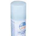 Eisblumenspray Dekospray für Fenster und Winterdeko auf Glas 150 ml | Floristik24.de