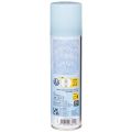 Eisblumenspray Dekospray für Fenster und Winterdeko auf Glas 150 ml | Floristik24.de