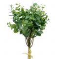 Floristik24 Eukalyptus Zweig künstlich Grün 37cm 6St