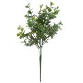 Floristik24 Eukalyptus Deko Künstliche Pflanzen Eukalyptuszweige 34cm