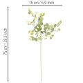 Künstlicher Eukalyptuszweig mit runden Blättern 75cm 4St | Floristik24.de
