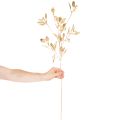 Künstlicher Eukalyptuszweig Deko Zweig für Vase 100cm | Floristik24.de