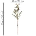 Künstlicher Eukalyptuszweig Dekoration Zweig Arrangement 3St | Floristik24.de