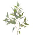 Floristik24 Künstlicher Eukalyptuszweig naturgrün Dekoration 100cm