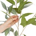 Künstlicher Eukalyptuszweig naturgrün Dekoration 100cm | Floristik24.de
