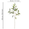 Künstlicher Eukalyptuszweig naturgrün Dekoration 100cm | Floristik24.de