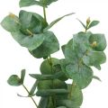 Floristik24 Eukalyptuszweig Künstliche Grünpflanze Eukalyptus Deko 75cm
