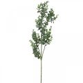 Floristik24 Dekozweig Eukalyptus künstlich Eukalyptuszweig 75cm