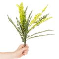 Kunstfarn Zweig künstliche Pflanze grün für Dekoration 45cm | Floristik24.de
