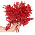 Farnzweig konserviert gefärbt Echter Farn für Herbstarrangements 42cm 10St | Floristik24.de