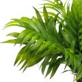 Floristik24 Palmwedel Palmen Deko Kunstpflanzen Grün 30cm 3St