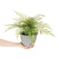 Künstlicher Farn im Pflanztopf für Wohnzimmer und Büro 35cm | Floristik24.de