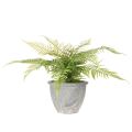 Künstlicher Farn im Pflanztopf für Wohnzimmer und Büro 35cm | Floristik24.de