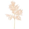 Floristik24 Trockendeko Farn für Vase 42cm 10St