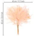 Farnwedel getrocknet Farn Deko für Vasen 60cm 10St | Floristik24.de