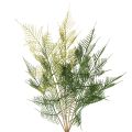 Floristik24 Künstlicher Farnzweig Dekoration grün naturgetreu 56cm
