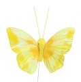 Floristik24 Feder-Schmetterling 10cm Gelb 12St