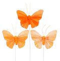 Floristik24 Feder-Schmetterling 8cm Orange 24St