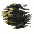 Floristik24 Deko Federn Schwarz, Gold Echte Federn zum Basteln 12-14cm 72St