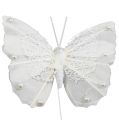 Floristik24 Federschmetterling 8cm mit Draht Weiß 12St