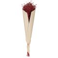 Flachs Bordeaux Rot Trockendeko Trockenblumen L55cm 80g | Floristik24.de