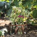 Flaschen Deko Glasflasche Vase aus Glas Ø7,5cm H19cm | Floristik24.de