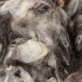 Schafwolle Deko Naturwolle Grau meliert lose 250g | Floristik24.de