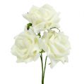 Floristik24 Foam-Rose Ø7,5cm Creme 18 St