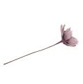 Floristik24 Foamblüte Magnolia Berry Ø15cm L67cm