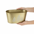 Deko Schale oval Tannenbaum Übertopf Gold 24×13×12,5cm | Floristik24.de