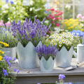 Übertopf Krone Metall Deko Zink Ø21,5/19,5/17cm 3er-Set | Floristik24.de