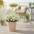 Blumentopf Zink Übertopf Metall Altrosa Ø22cm H21cm | Floristik24.de
