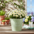 Blumentopf Zink Übertopf Metall Mintgrün Ø22cm H21cm | Floristik24.de