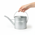 Vintage Deko Gießkanne Metall Silber 1,25l Pflanzgefäß | Floristik24.de