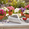 Dekoschale Herzform grau Kleine Pflanzschale Herz 19cm | Floristik24.de